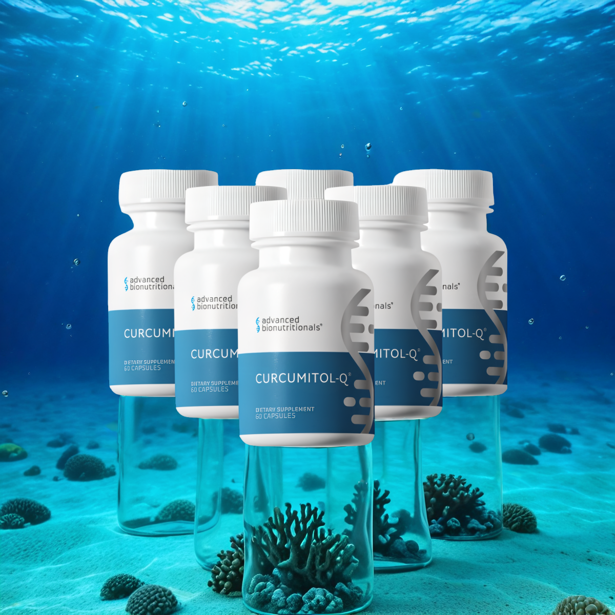 Curcumitol-Q® - BioBDMC® Curcumin Supplement - 6 bottles